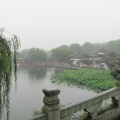 IMG_5558.JPG